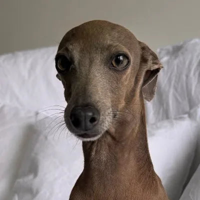 Woody