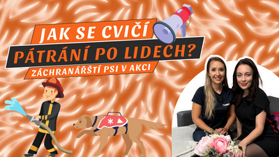 37. DÍL PODCASTU SMEČKA: Záchranářští psi v akci: Jak se cvičí na pátrání po lidech?| Kristýna Sedláková