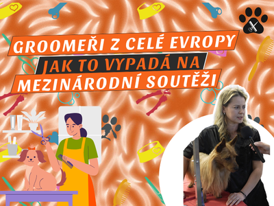 EPISODE 54 OF THE SMÈKA PODCAST: GROOM MASTERS 2025 How is dog grooming turning into an art?