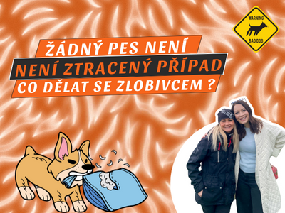 61. DÍL PODCASTU SMEČKA: Důslednost, výcvik a psí hotel s Ladou a Anetou Sedlákovými