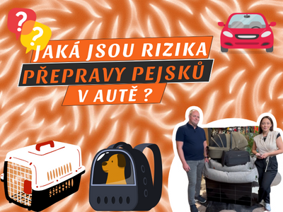 EPISODE 62 OF THE SMEKKA PODCAST: A Dog Crate That Saves Lives? Most People Make the Wrong Choice