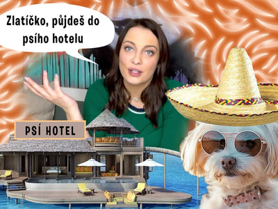 THE SMEČKA PODCAST - Part 9: How to choose a dog day care when you go on vacation?