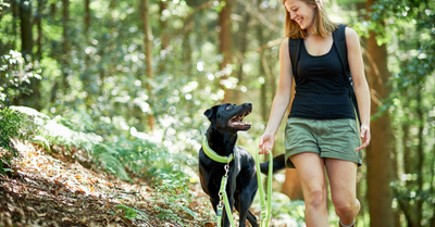 MINDFULNESS WHEN GOING ON A WALK. HOW TO DO IT?