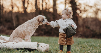 DOG AND A BABY: HOW TO LET THEM KNOW EACH OTHER SAFELY?
