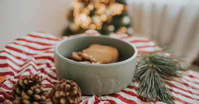 HAVE YOU BAKED CHRISTMAS CANDY FOR YOUR DOG ALREADY?