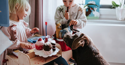 PREPARE THE BEST BIRTHDAY PARTY FOR YOUR PET