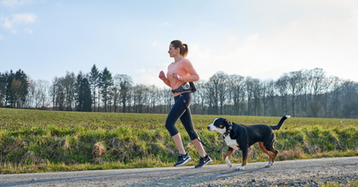 DOG SPORTS THAT BOTH OF YOU WILL ENJOY