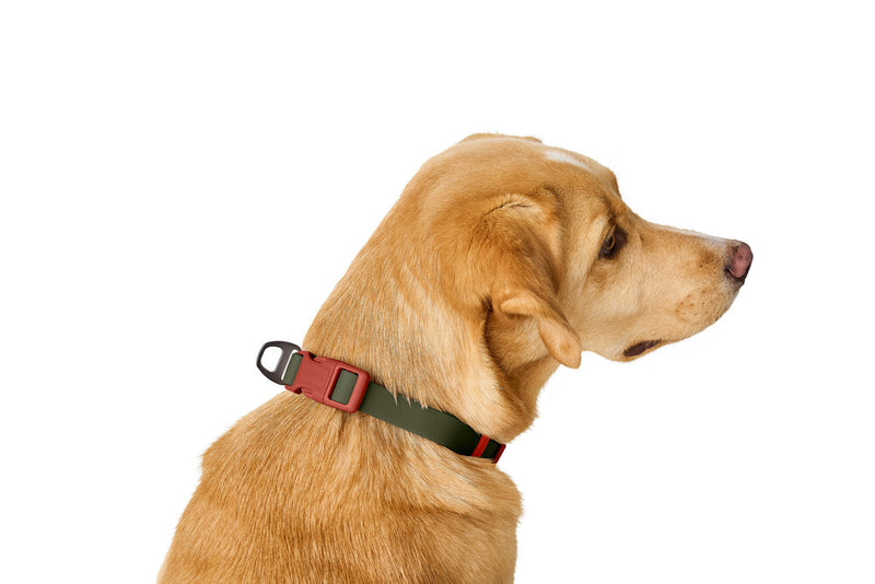 HAVANNA VARIO collar - green/orange