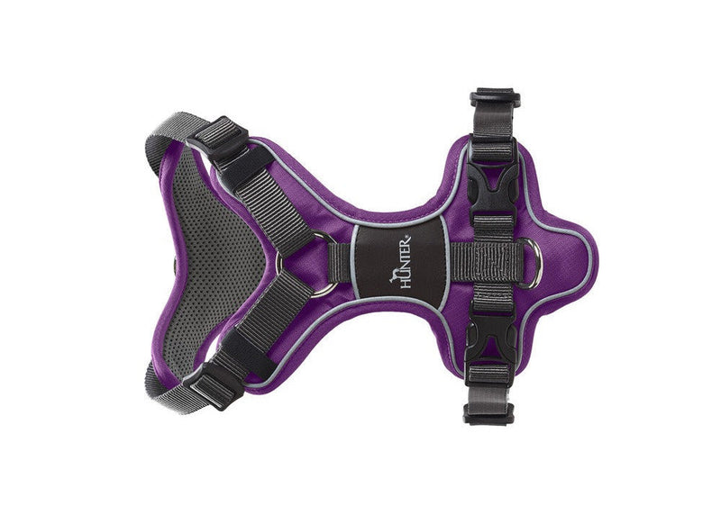 DIVO harness - purple