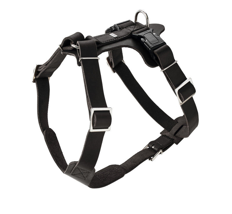 AALBORG harness - black