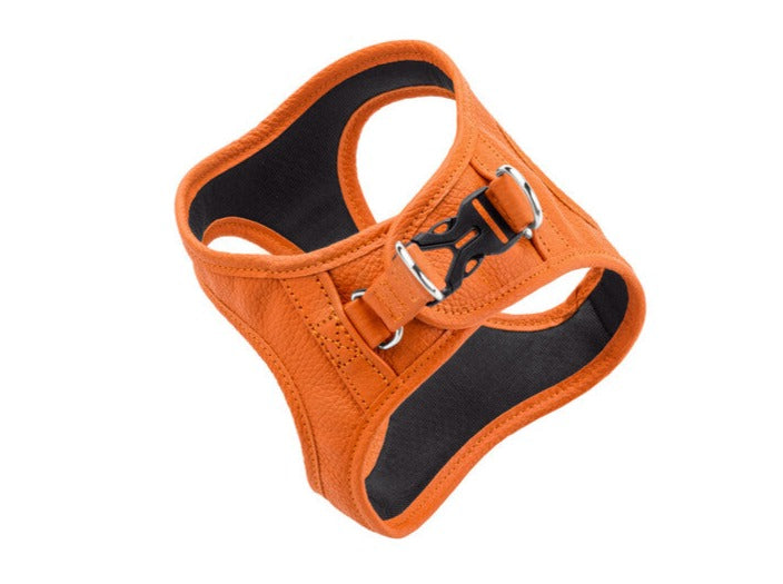 HILO leather harness - orange