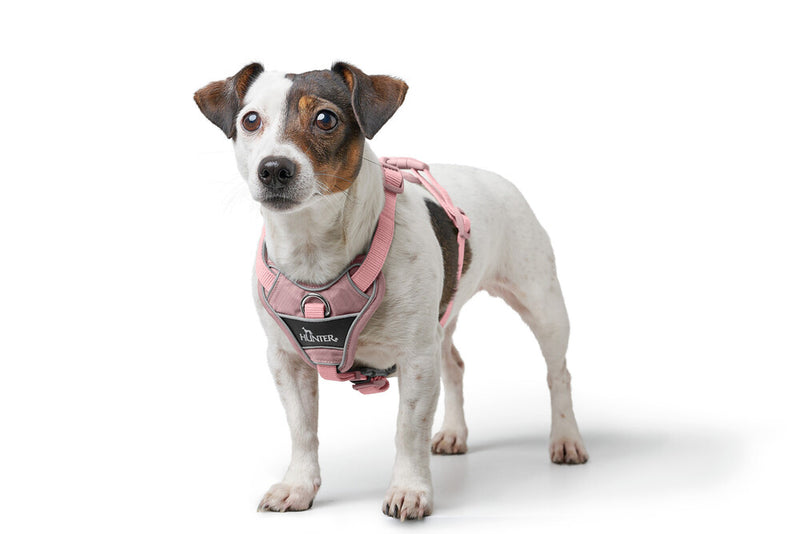 DIVO UP harness - old pink