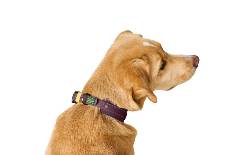 HAVANNA collar - blackberry