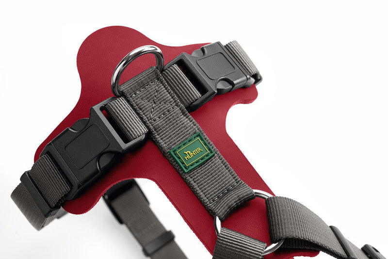 AALBORG MIXED harness - red