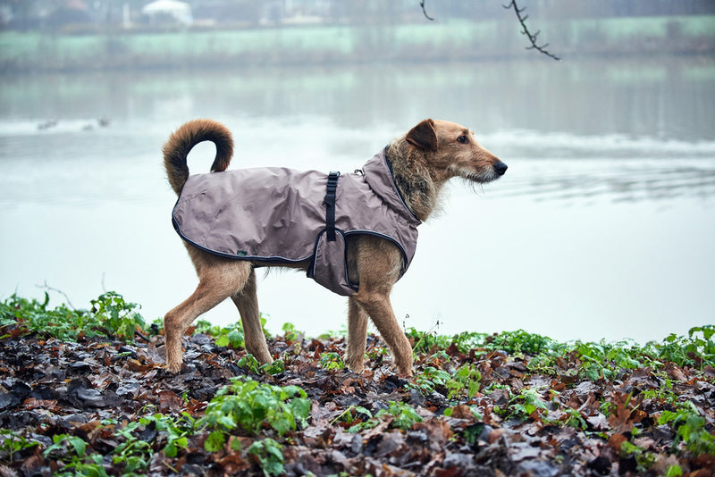 UPPSALA dog jacket - taupe