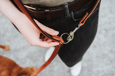 CANADIAN UP adjustable leash - cognac/black