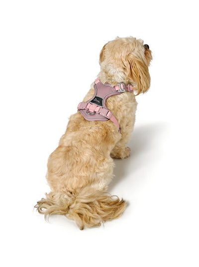 DIVO UP harness - old pink