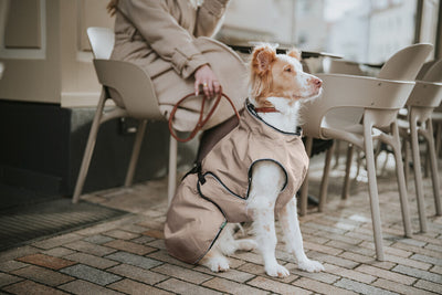 UPPSALA dog jacket - taupe