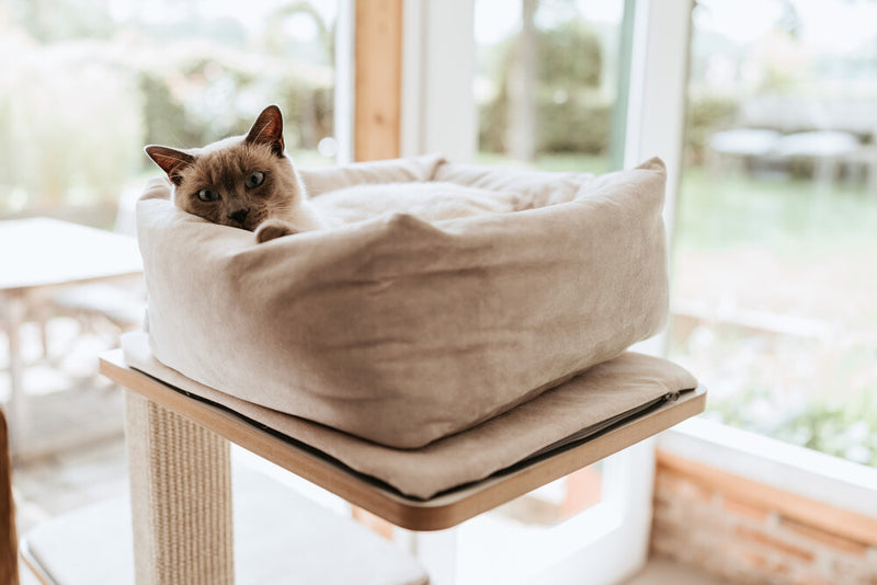 DREAMIE cat bed - beige