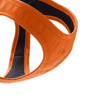 HILO leather harness - orange