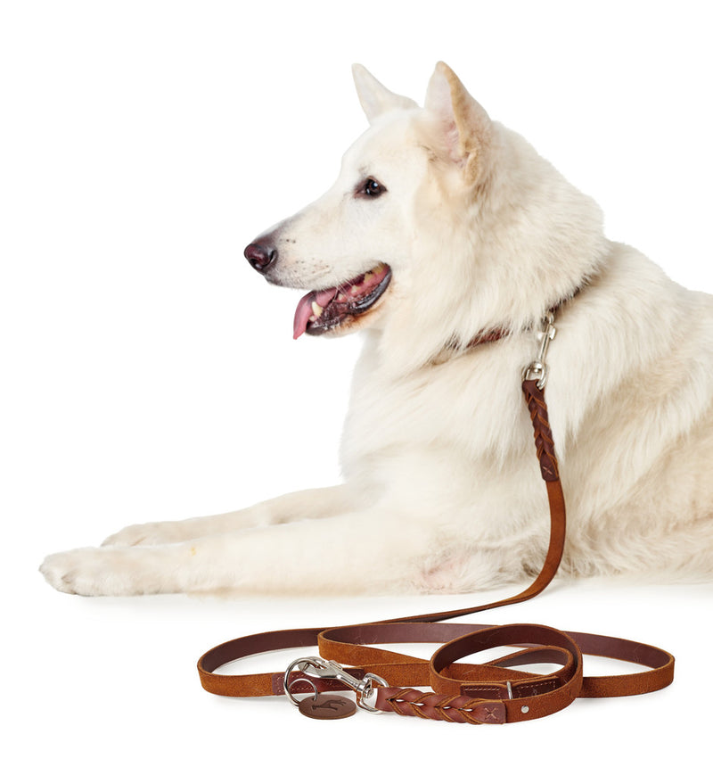 SOLID EDUCATION adjustable leash - cognac