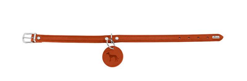 AALBORG collar - orange