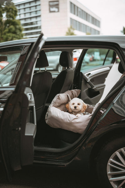 SEOUL autosedačka - břidlicová