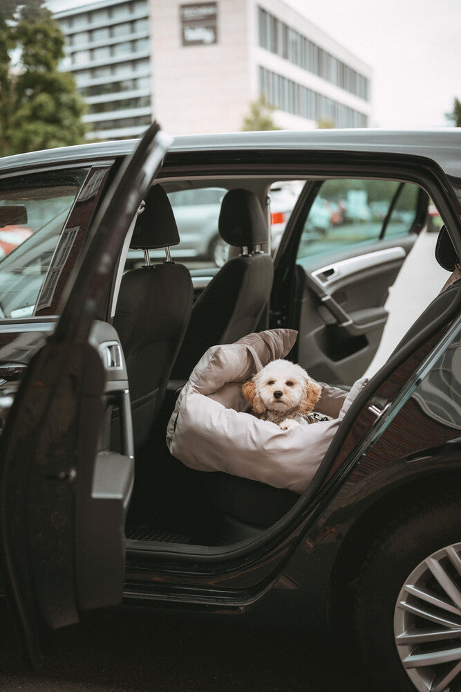 SEOUL autosedačka - břidlicová