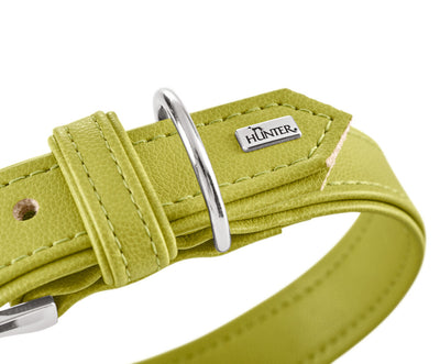 AMALFI collar - green