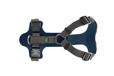 AALBORG MIXED harness - blue