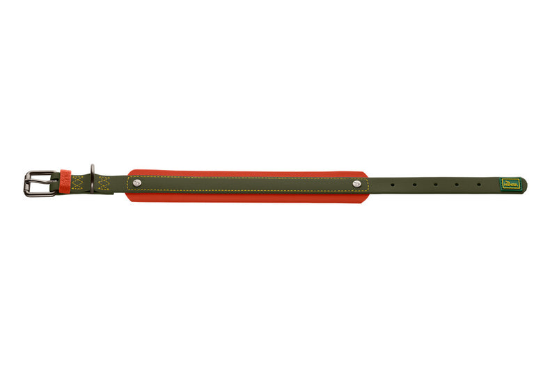 HAVANNA collar - green/orange
