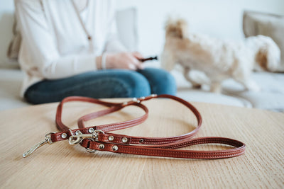 CANADIAN UP Petit adjustable leash - cognac