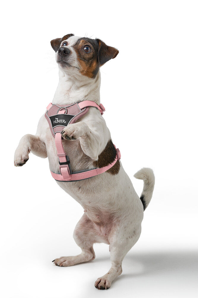 DIVO UP harness - old pink