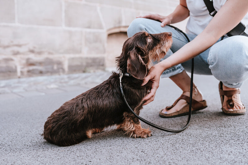 CANADIAN UP leash Round&Soft - black