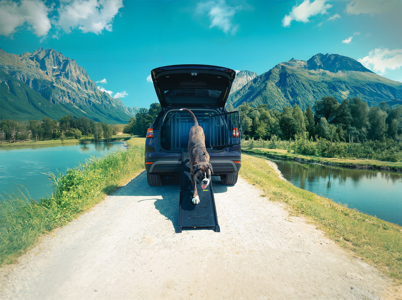 4PETS Schůdky do auta Easy Steps - NOIR