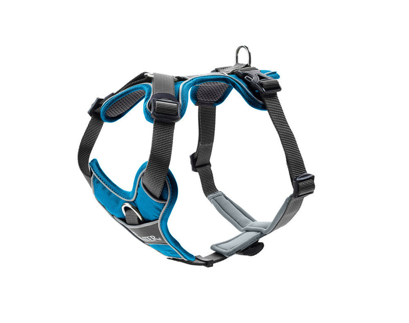 DIVO harness - light blue