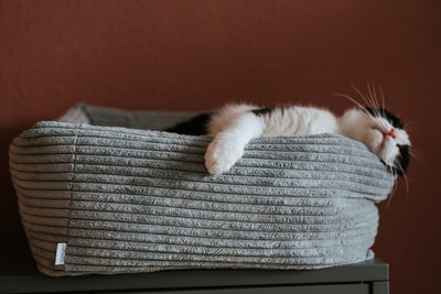 RIMINI cat bed - gray