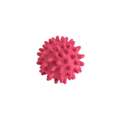Dog toy Ball with thorns