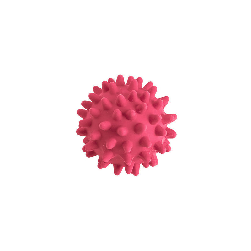 Dog toy Ball with thorns