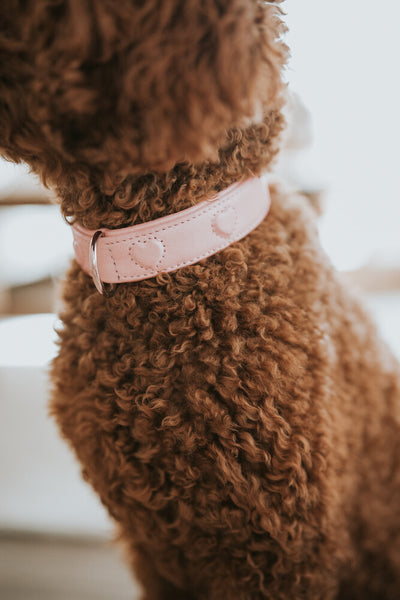 SOHO X LOVE collar - light pink