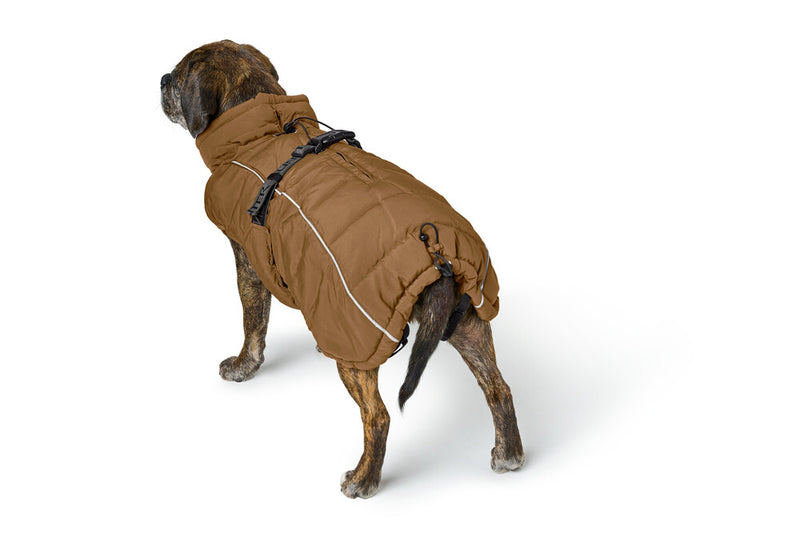 PAXSON coat for bulldogs - caramel