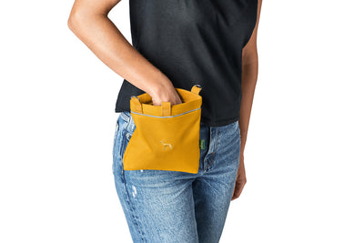 ALVA treat/purse - mustard