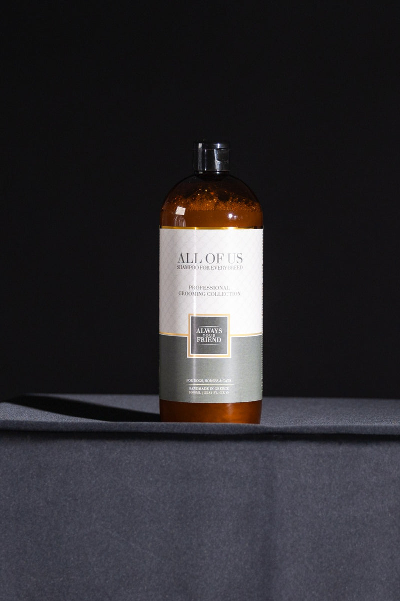 AYF Shampoo All Of Us - Professional Line