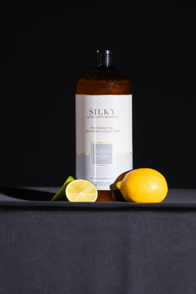 AYF Shampoo Silky - Professional Line