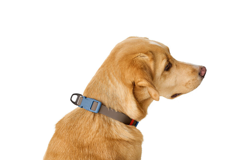 HAVANNA VARIO collar - slate/blue