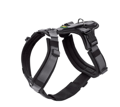 MALDON SAFETY harness - black
