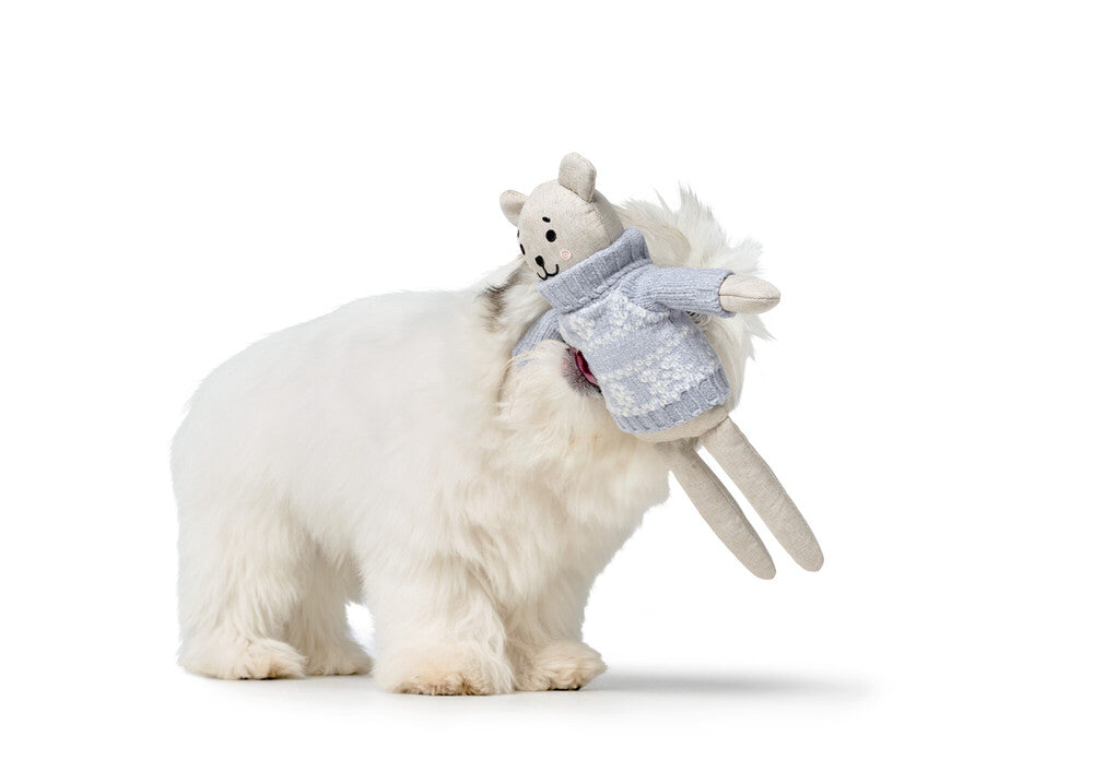 Psí hračka BIRKA Medvídek