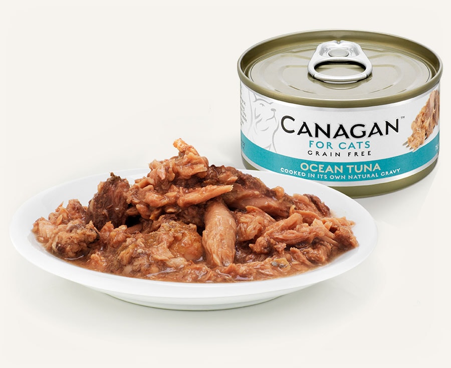 Canagan cat wet food best sale