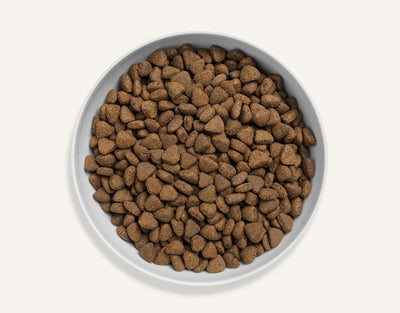 CANAGAN CAT Granules for cats - Country Game