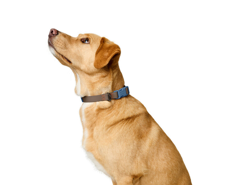 HAVANNA VARIO collar - slate/blue